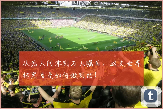 从无人问津到万人瞩目，这支世界杯黑马是如何做到的！
