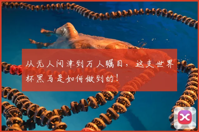 从无人问津到万人瞩目，这支世界杯黑马是如何做到的！