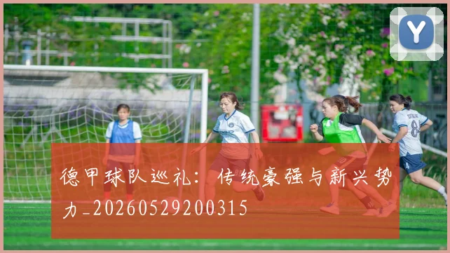 德甲球队巡礼：传统豪强与新兴势力_20260529200315