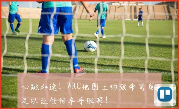 心跳加速！WRC地图上的致命弯角，足以让任何车手胆寒！